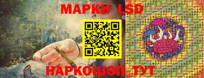 a pvp Михайловка